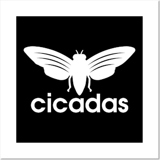 Cicadas Logo Posters and Art